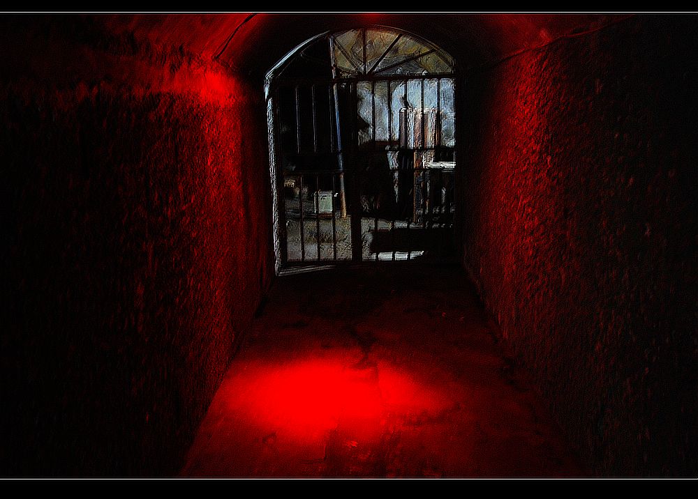 dsc_0077.jpg