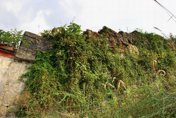 dsc_0372.jpg
