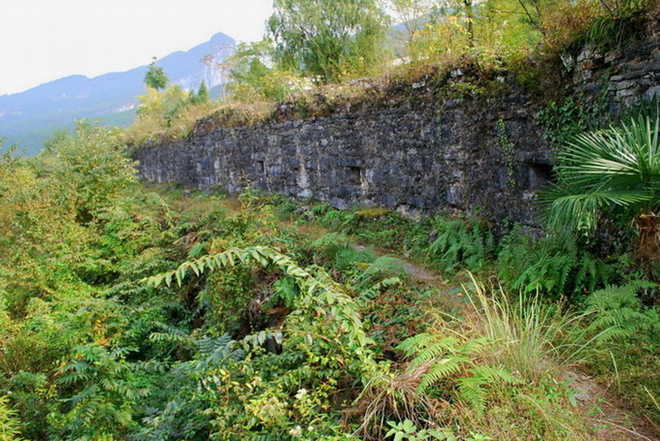 dsc_0385.jpg