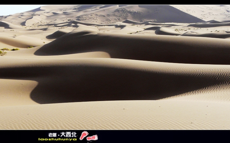 ɳĮ7.jpg