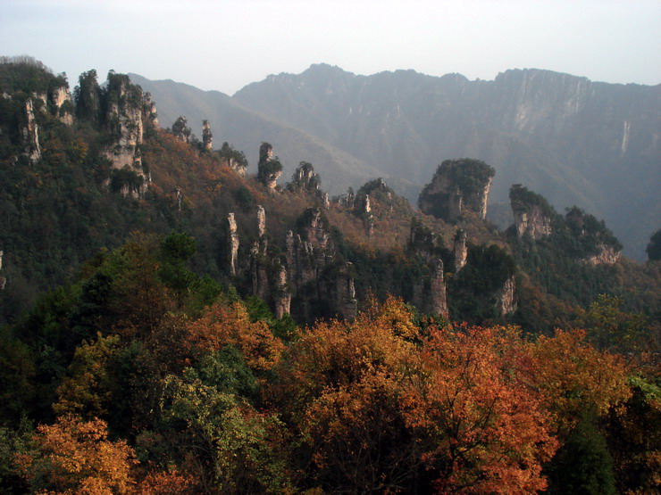 dsc00047____b.jpg
