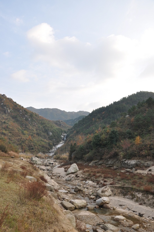 dsc_0134.jpg