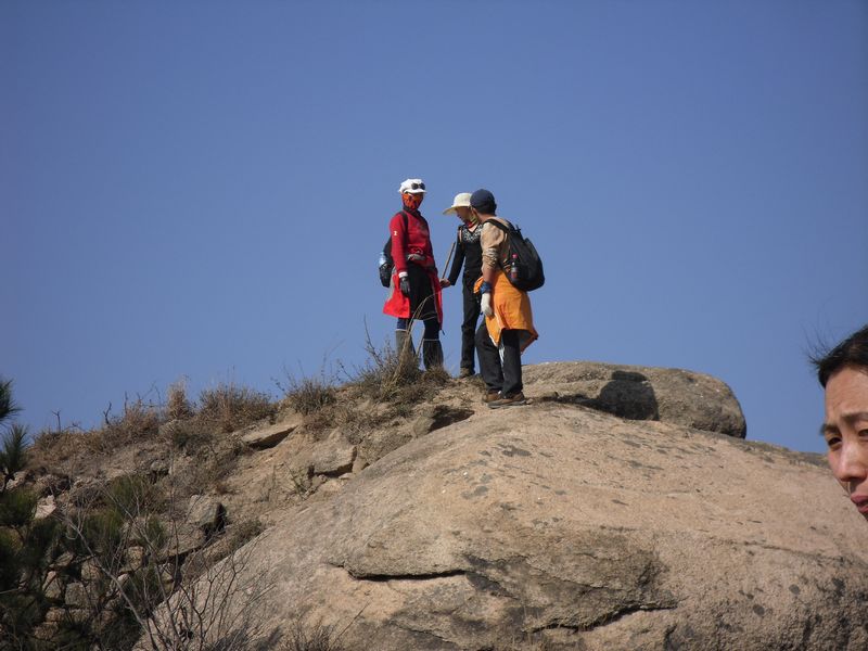 sdc11690.jpg