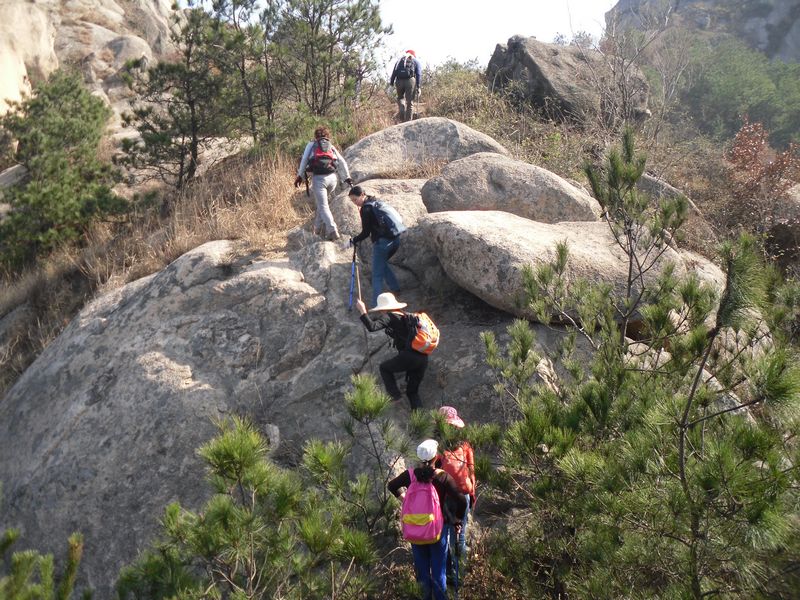 sdc11656.jpg