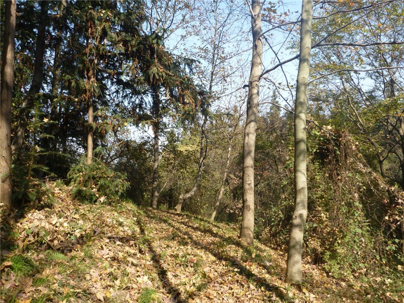 p1030751_.jpg