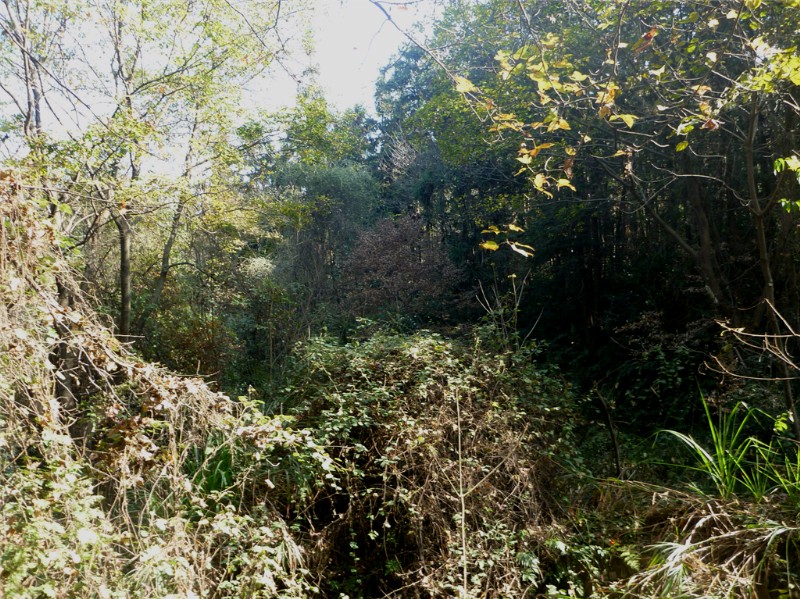 p1030752_.jpg