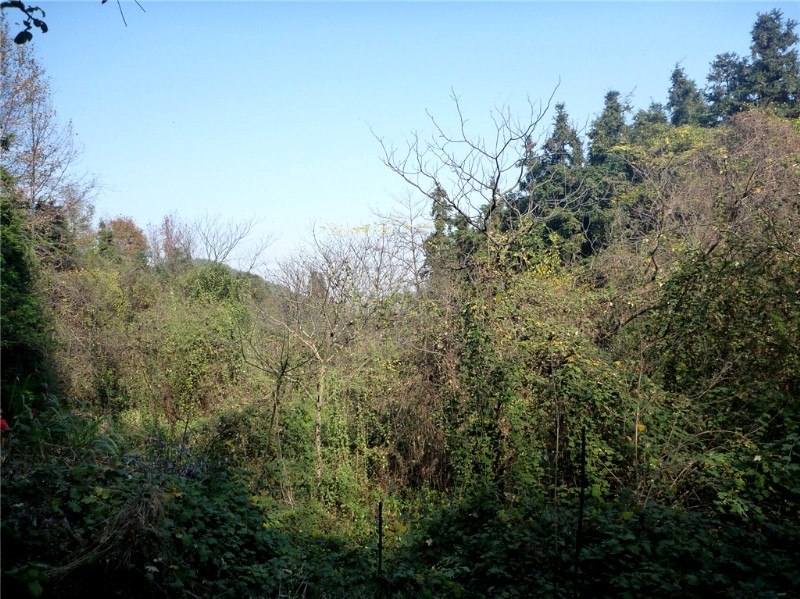 p1030755_.jpg
