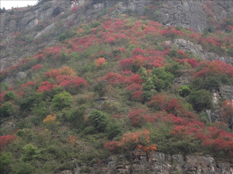 2010_12030146.jpg