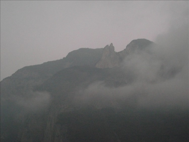 2010_12030079.jpg