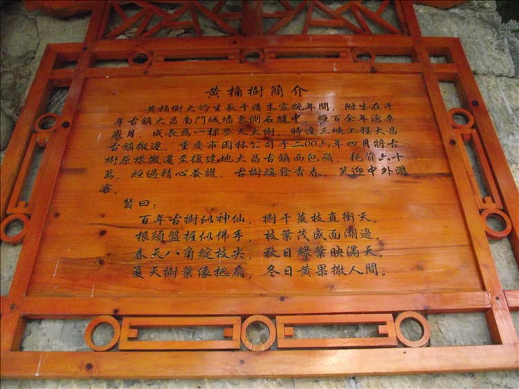 2010_12030094.jpg