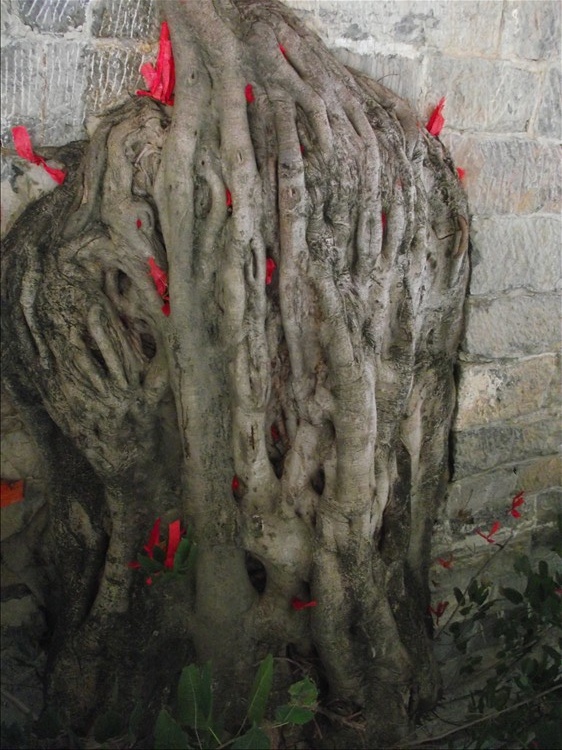 2010_12030095.jpg