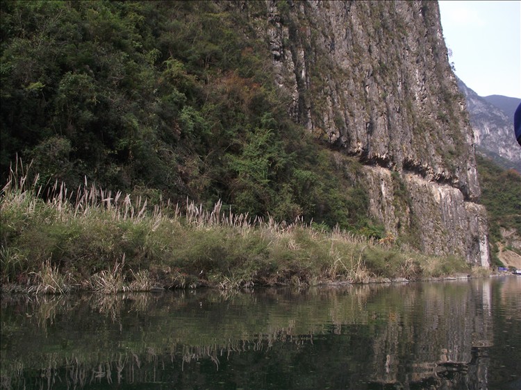 2010_12030155.jpg