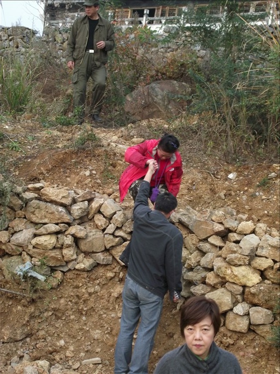 2010_12030100.jpg