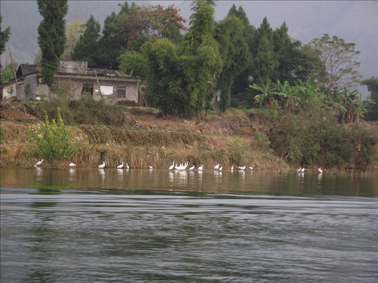 2010_12030128.jpg