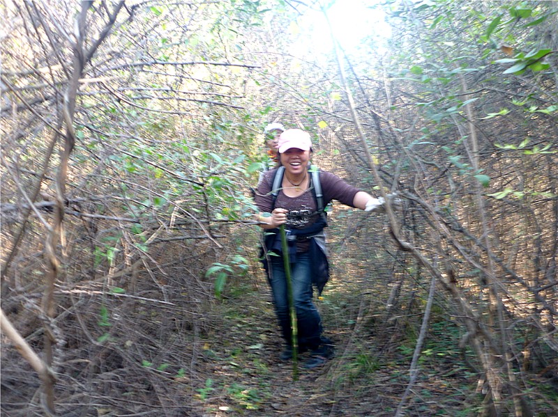 p1030723_.jpg