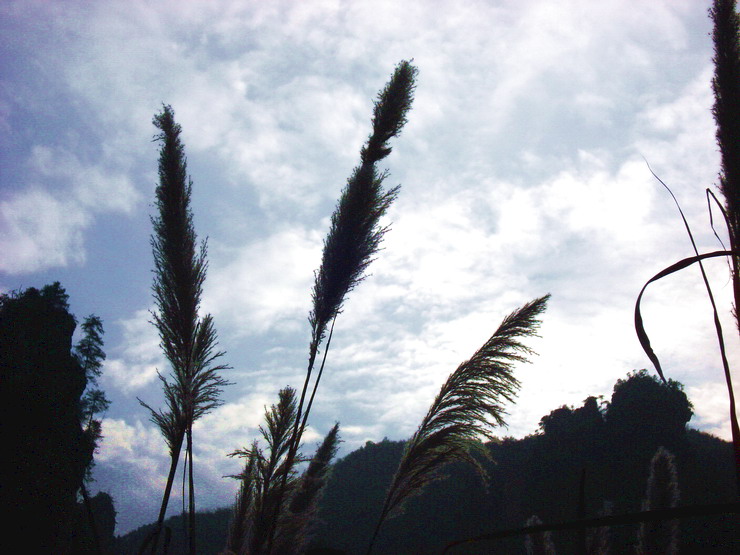dsc00080____b.jpg