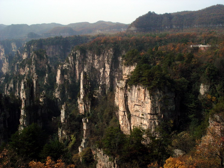 dsc00050____b.jpg