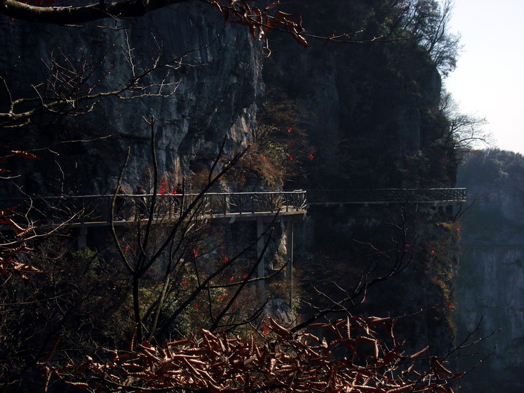 dsc00115____b.jpg