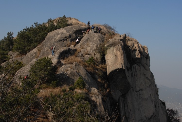 dsc_0113.jpg