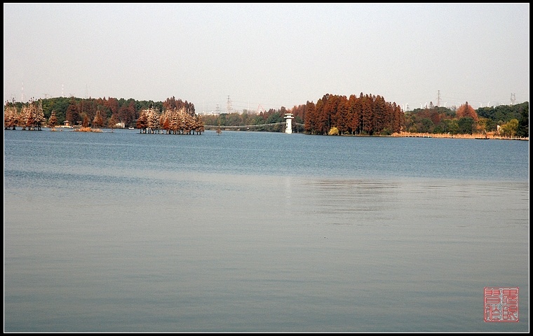 dsc_0050.jpg