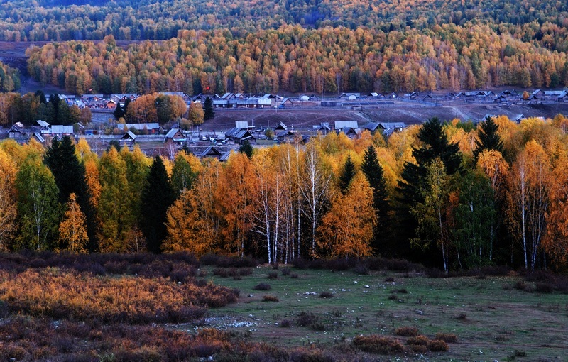 neo_img_dsc_0773591.jpg