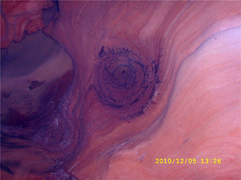 sl273481_.jpg