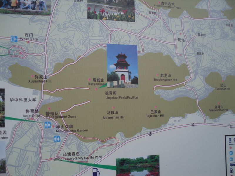 sdc11736.jpg