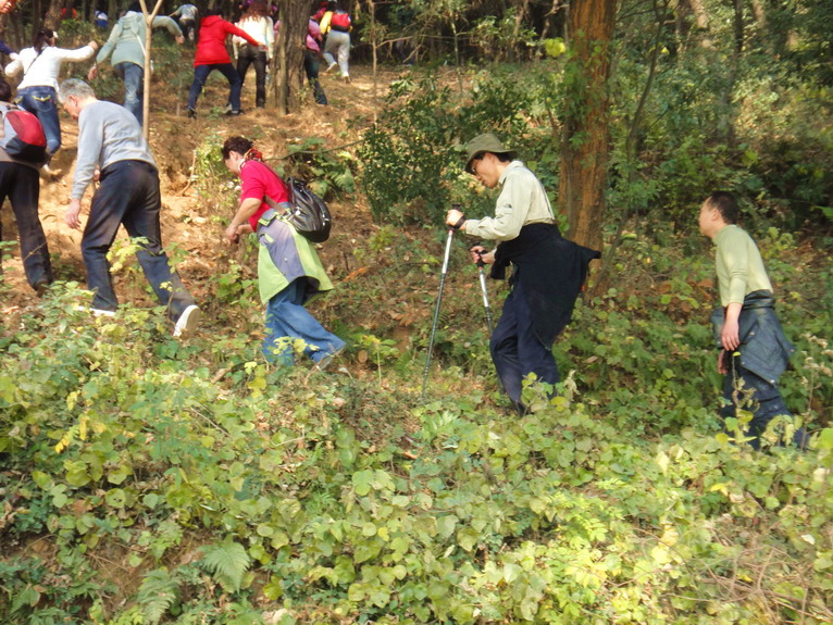 dsc08001.jpg