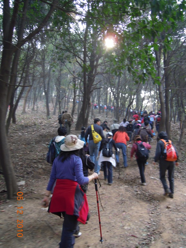 Ƭ 088.jpg