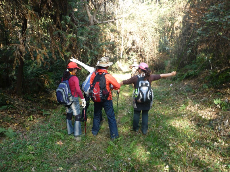 p1030749_.jpg