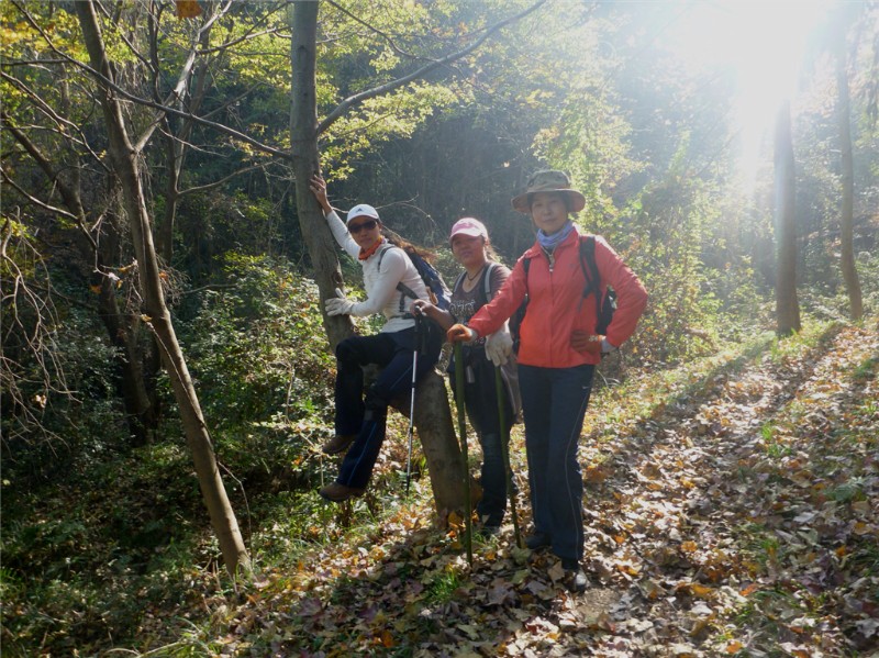 p1030754_.jpg