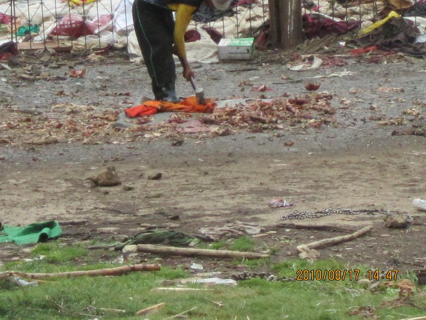 img_0449.jpg