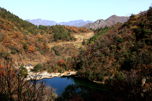 Ƭ 025-2.jpg