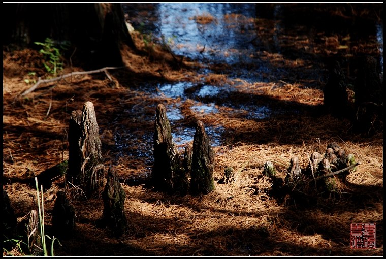 dsc_0077.jpg