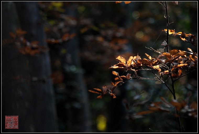 dsc_0105.jpg