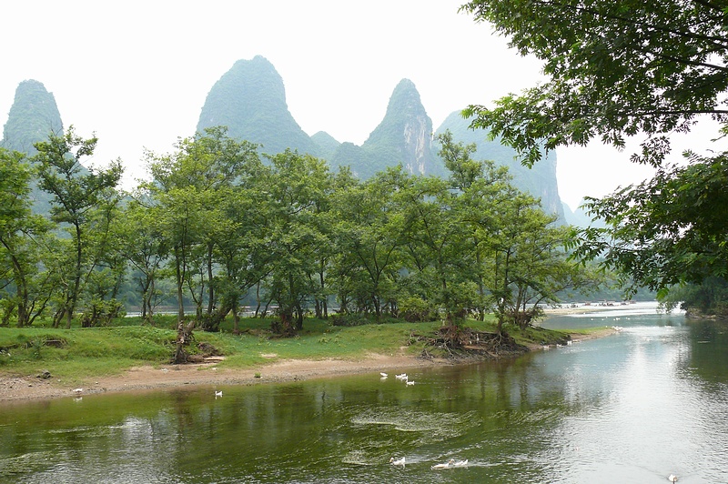 200962375659.jpg