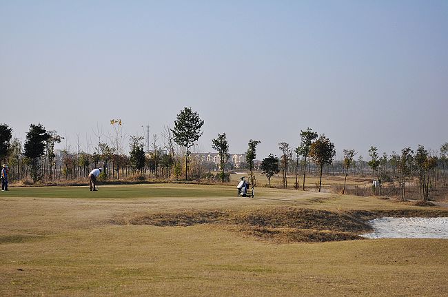 neo_img_dsc_0477.jpg