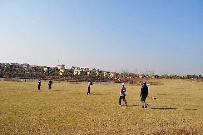 neo_img_dsc_0494.jpg