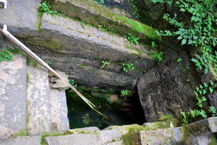 dsc_0402.jpg