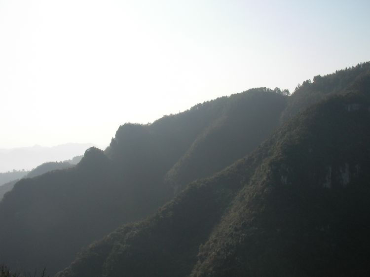 050.jpg