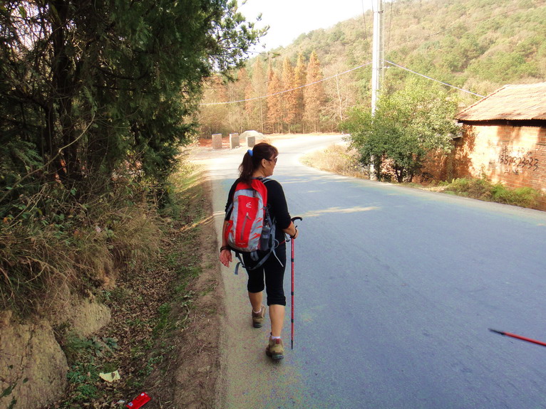 dsc08115.jpg