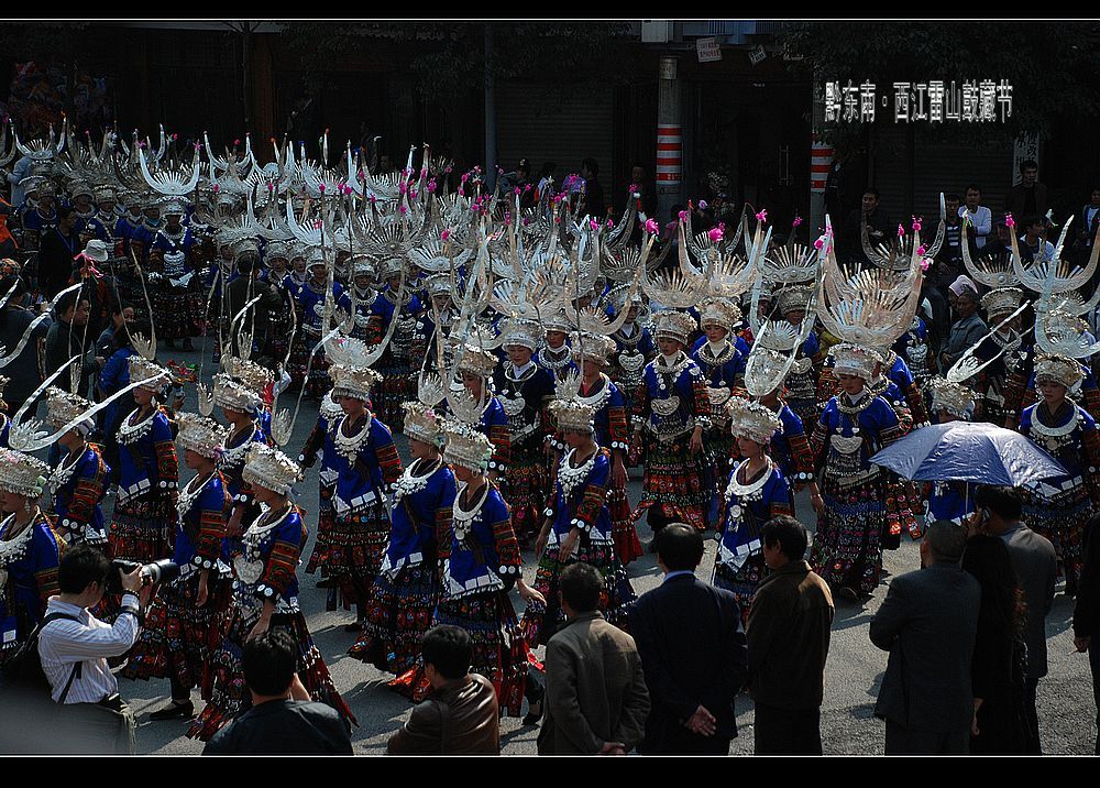 dsc_0256.jpg