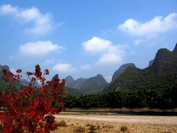 yuen 715副本.jpg