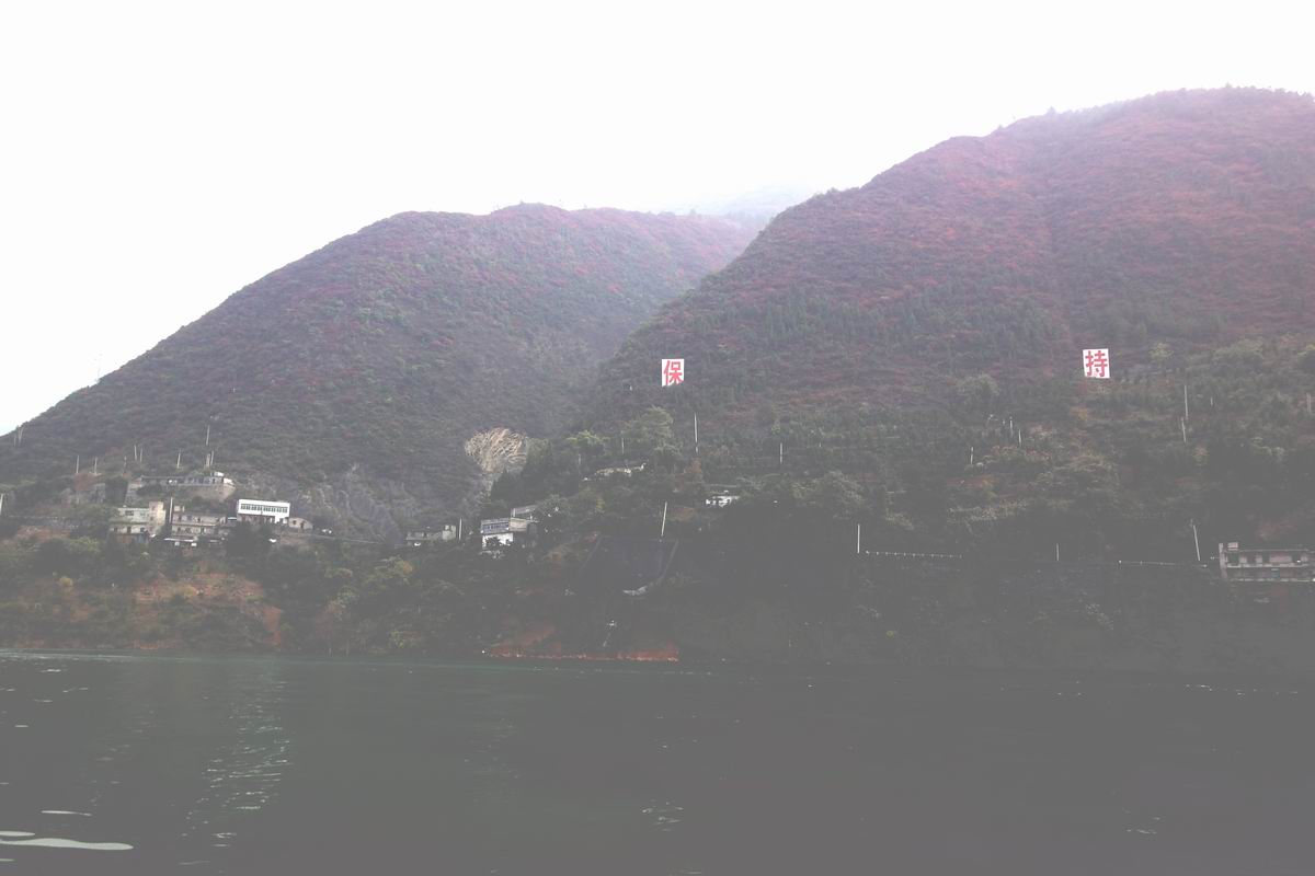 dsc03264.jpg