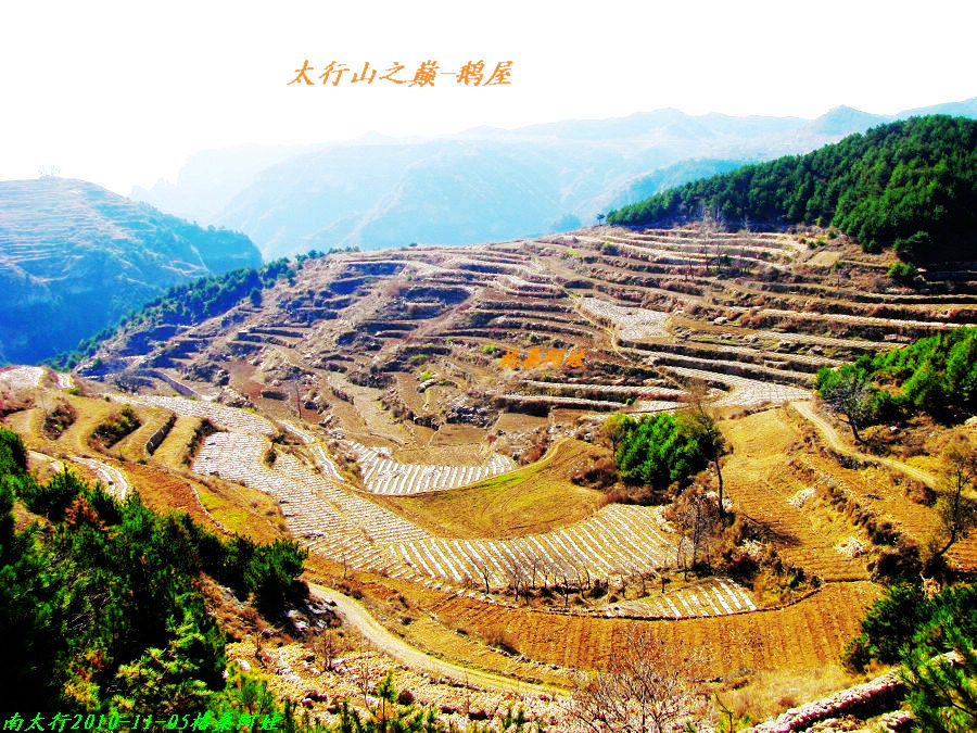 阿娃 559.jpg