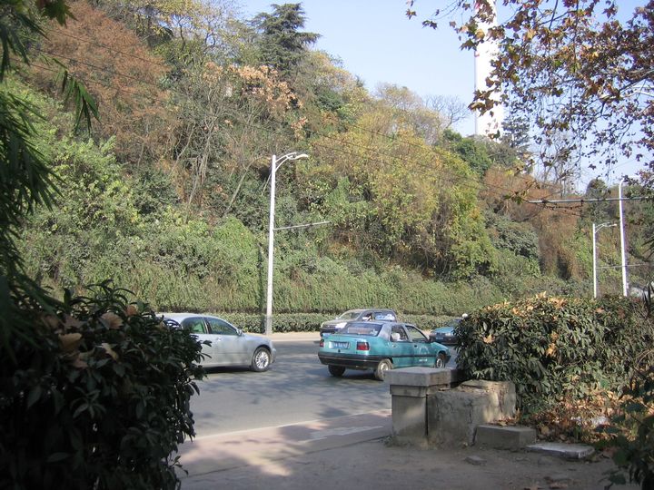 20101208 018.jpg