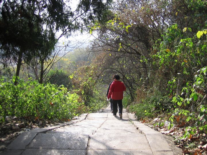 20101208 017.jpg