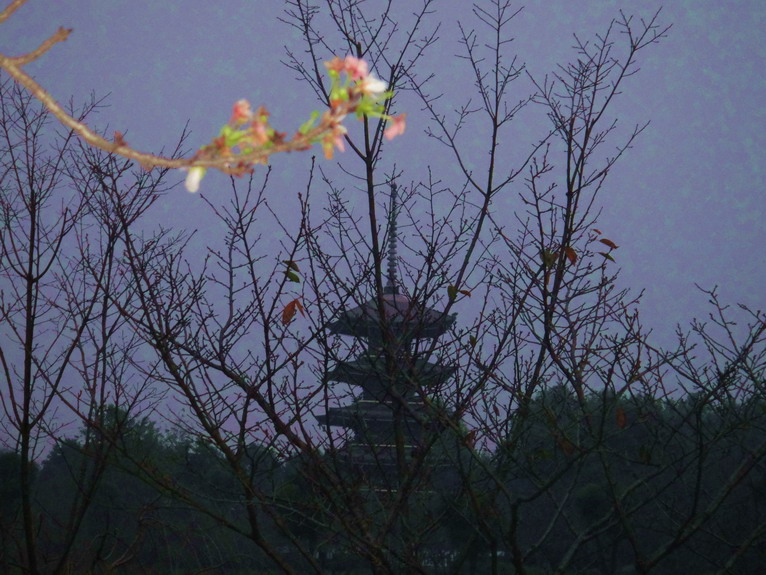 dsc05476.jpg