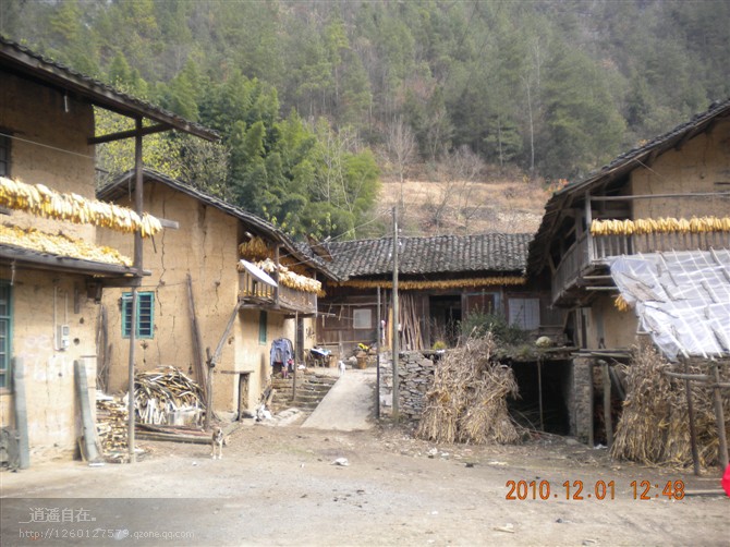 06.jpg