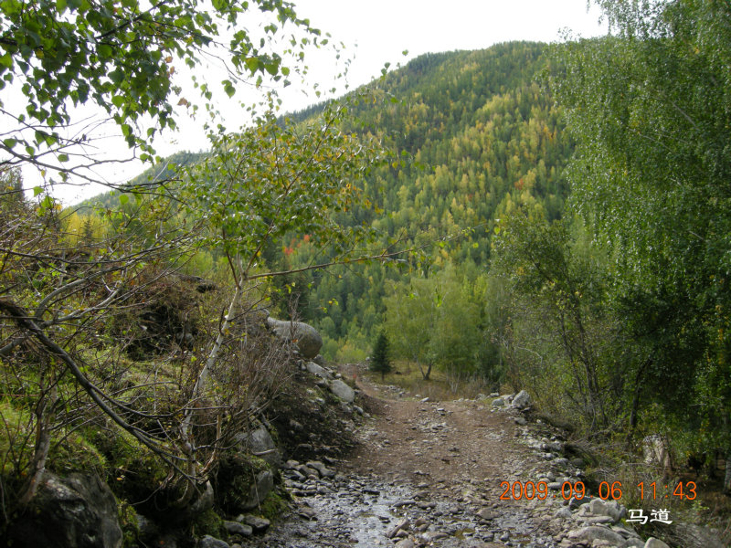 dscn2502.jpg